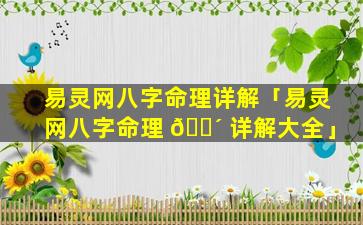易灵网八字命理详解「易灵网八字命理 🌴 详解大全」